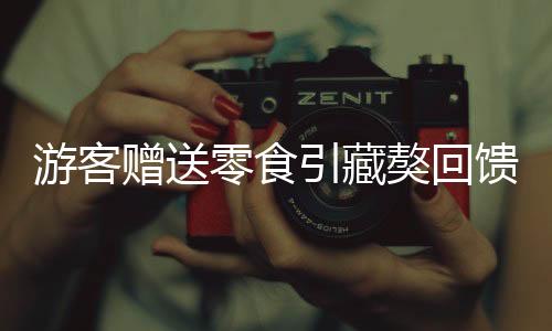 游客贈(zèng)送零食引藏獒回饋，神秘禮遇驚艷四方