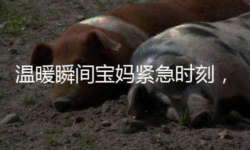 溫暖瞬間寶媽緊急時(shí)刻，武警戰(zhàn)士無私守護(hù)，照看寶寶展現(xiàn)軍民魚水情