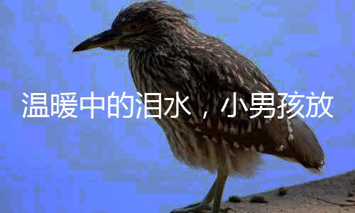 溫暖中的淚水，小男孩放學(xué)被父親擁抱后情感流露的瞬間