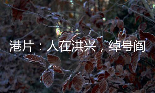 港片：人在洪興，綽號閻王