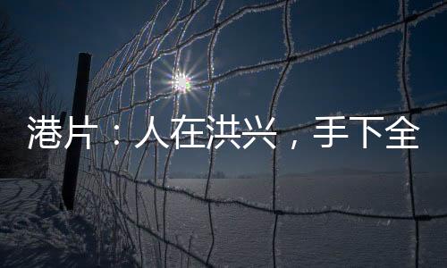 港片：人在洪興，手下全是兇人！