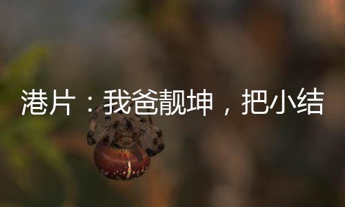 港片：我爸靚坤，把小結(jié)巴綁給我