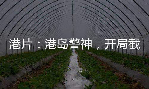 港片：港島警神，開局截胡何敏