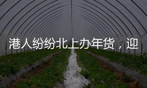 港人紛紛北上辦年貨，迎新春購物熱潮