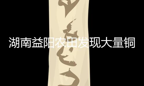 湖南益陽農田發(fā)現(xiàn)大量銅錢，千年寶藏重現(xiàn)人間