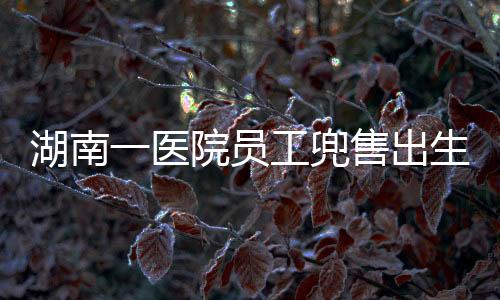 湖南一醫(yī)院員工兜售出生證事件曝光，丑聞背后的警示與思考