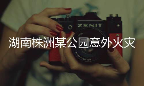 湖南株洲某公園意外火災事件，起火原因及應對措施詳解