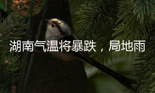 湖南氣溫將暴跌，局地雨夾雪——天氣預(yù)警及應(yīng)對指南