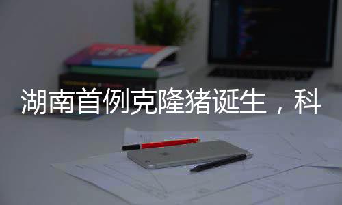 湖南首例克隆豬誕生，科技前沿的突破與創(chuàng)新里程碑