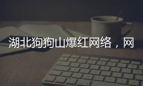 湖北狗狗山爆紅網(wǎng)絡(luò)，網(wǎng)友直呼太像了