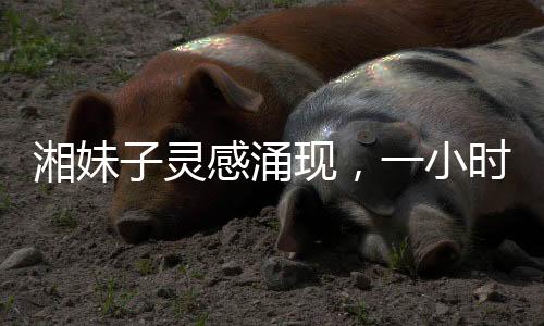 湘妹子靈感涌現(xiàn)，一小時(shí)創(chuàng)作出王菲新歌歌詞