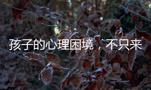 孩子的心理困境，不只來自被雞娃——深析兒童心理健康多重因素