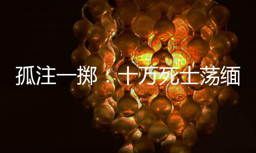 孤注一擲：十萬死士蕩緬北，稱帝