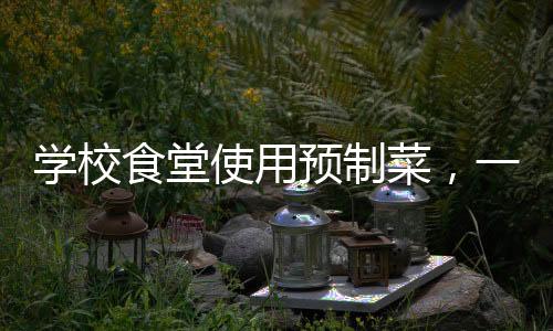 學(xué)校食堂使用預(yù)制菜，一種趨勢(shì)還是選擇？