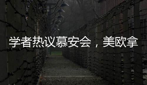 學(xué)者熱議慕安會(huì)，美歐拿錯(cuò)劇本，全球秩序重塑引深思