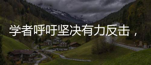 學(xué)者呼吁堅決有力反擊，實現(xiàn)平等對話——中美關(guān)系的多維度解讀