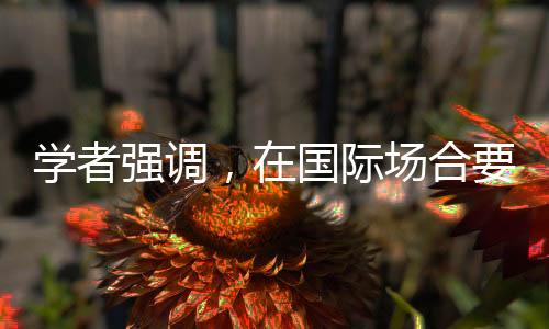 學(xué)者強(qiáng)調(diào)，在國(guó)際場(chǎng)合要懂溝通會(huì)辯論