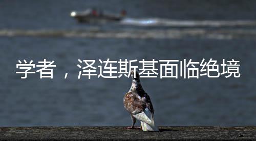 學(xué)者，澤連斯基面臨絕境，未來走向成疑