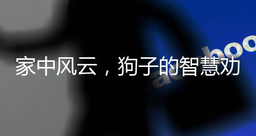 家中風云，狗子的智慧勸架，男女主人和解之道