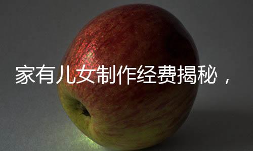 家有兒女制作經(jīng)費(fèi)揭秘，餐桌上的投資細(xì)節(jié)分析