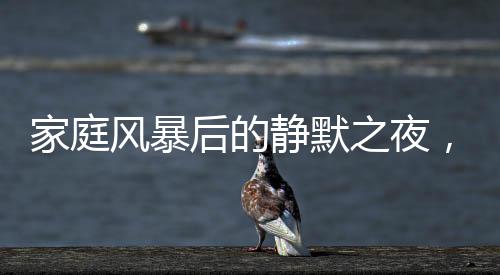 家庭風(fēng)暴后的靜默之夜，兒子含淚收拾父母爭吵的殘局