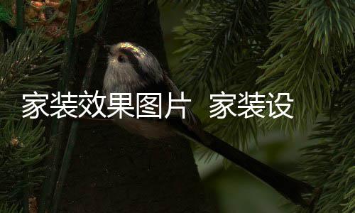 家裝效果圖片  家裝設(shè)計技巧有哪些