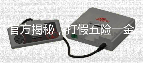 官方揭秘，打假五險一金補貼騙局，守護民眾權(quán)益不受侵害