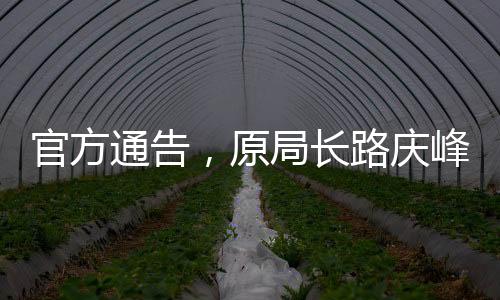 官方通告，原局長路慶峰被敦促投案自首
