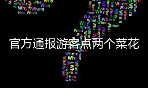 官方通報(bào)游客點(diǎn)兩個(gè)菜花費(fèi)844元事件，關(guān)于價(jià)格透明化與消費(fèi)者權(quán)益保護(hù)的探討