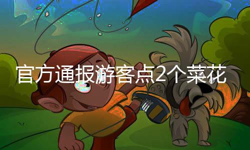 官方通報(bào)游客點(diǎn)2個(gè)菜花費(fèi)844元事件，揭示真相與公眾反思