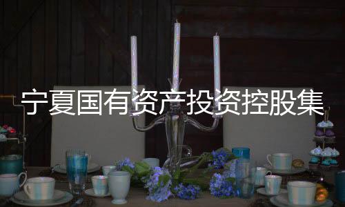 寧夏國(guó)有資產(chǎn)投資控股集團(tuán)有限公司原黨委書(shū)記、董事長(zhǎng)趙其宏一審獲刑十二年
