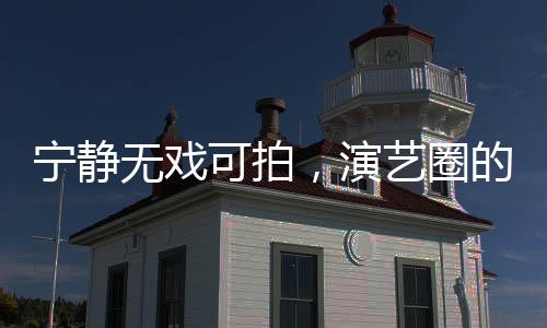 寧?kù)o無(wú)戲可拍，演藝圈的現(xiàn)實(shí)與挑戰(zhàn)