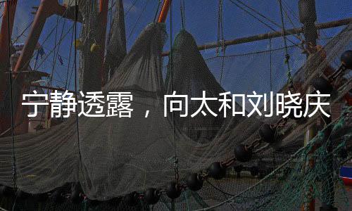 寧靜透露，向太和劉曉慶是我的恩人
