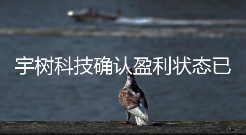 宇樹科技確認盈利狀態(tài)已持續(xù)至少五年，業(yè)績穩(wěn)健，屬實無疑