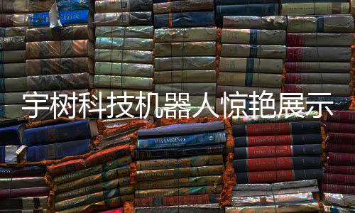 宇樹科技機器人驚艷展示，回旋踢炫技引爆現(xiàn)場！