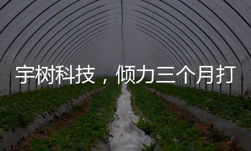 宇樹科技，傾力三個月打造，機器人扭秧歌驚艷亮相