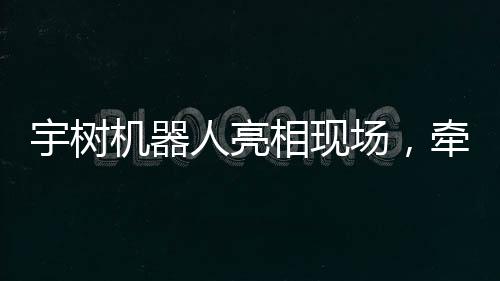 宇樹機器人亮相現(xiàn)場，牽繩遛狗技術展示引人矚目