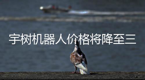 宇樹(shù)機(jī)器人價(jià)格將降至三四千元，引領(lǐng)科技潮流的新起點(diǎn)