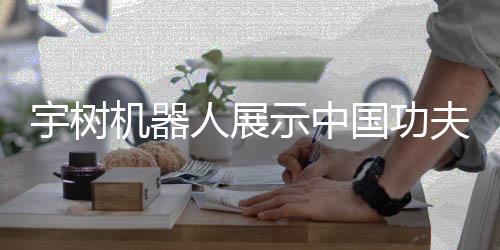 宇樹機(jī)器人展示中國(guó)功夫，科技與傳統(tǒng)文化的完美結(jié)合