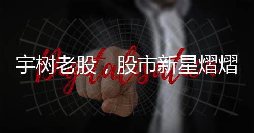 宇樹老股，股市新星熠熠生輝