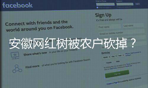 安徽網(wǎng)紅樹被農(nóng)戶砍掉？當(dāng)?shù)鼗貞?yīng)