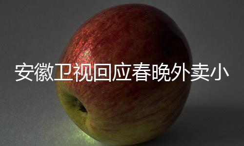安徽衛(wèi)視回應春晚外賣小哥身份爭議