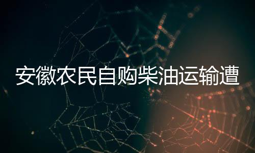 安徽農(nóng)民自購柴油運輸遭罰事件，法律與人權(quán)的探討