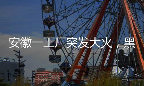 安徽一工廠突發(fā)大火，黑色煙柱直沖云霄