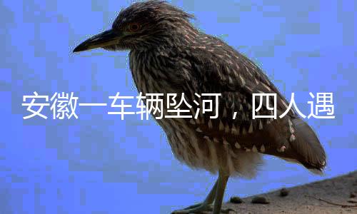 安徽一車輛墜河，四人遇難事故追蹤報道