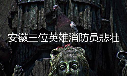 安徽三位英雄消防員悲壯犧牲，無(wú)私堅(jiān)守守護(hù)民眾安全，家人默默接受哀痛代價(jià)