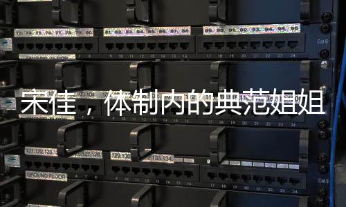 宋佳，體制內(nèi)的典范姐姐