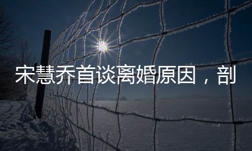 宋慧喬首談離婚原因，剖析背后的多重因素與反思