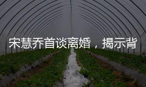 宋慧喬首談離婚，揭示背后故事與情感轉(zhuǎn)折