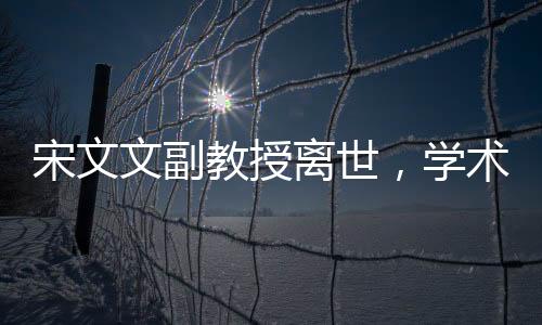 宋文文副教授離世，學術(shù)界的巨大損失